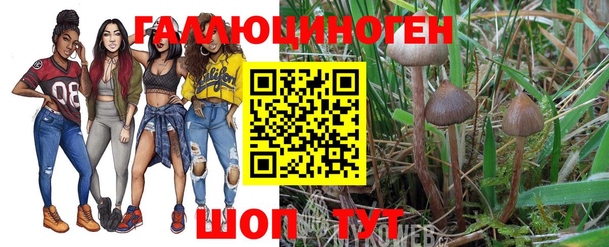 Псилоцибиновые грибы прущие грибы Чебаркуль